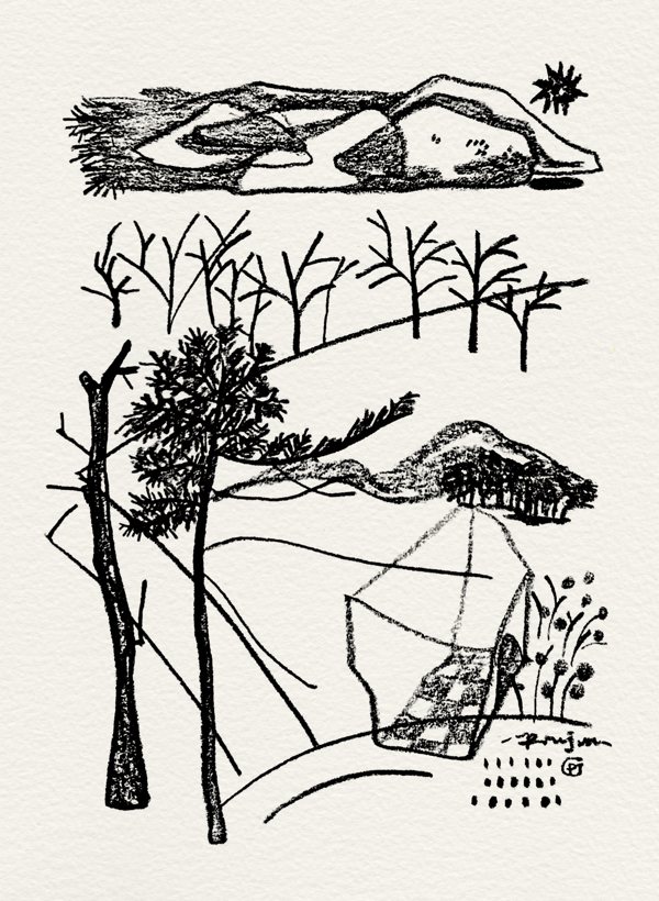 Days of Park Walks