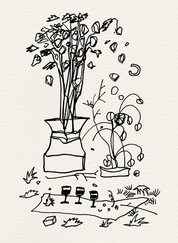 Dried Flowers, Withered Plants & Wine in Cup